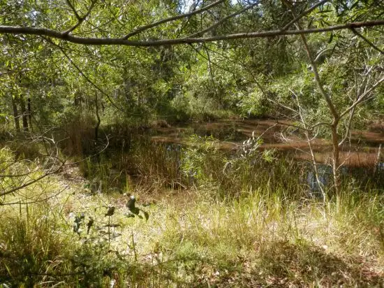 Third view of Homely rural property listing, Lot 213 Long Gully Rd, Drake NSW 2469