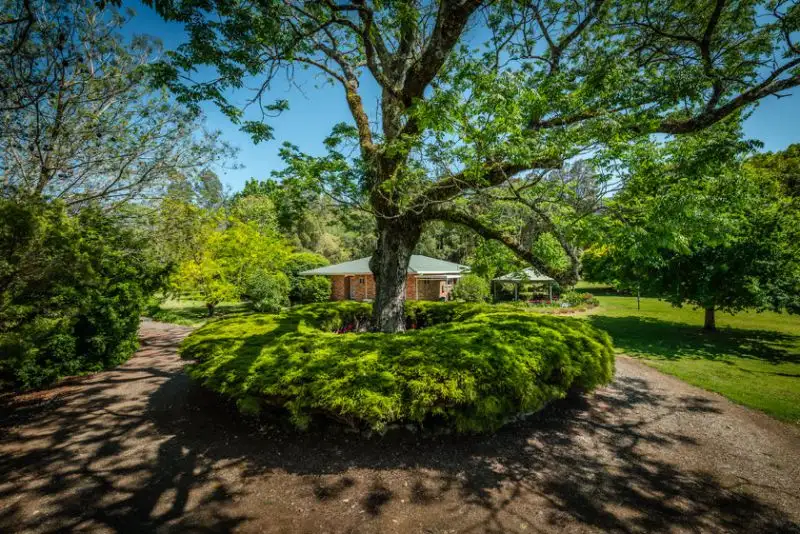 Main view of Homely rural property listing, 52 Buffer Creek Road, Bellingen NSW 2454