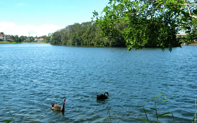 Fifth view of Homely house listing, 22 Pinnacle Court, Robina QLD 4226