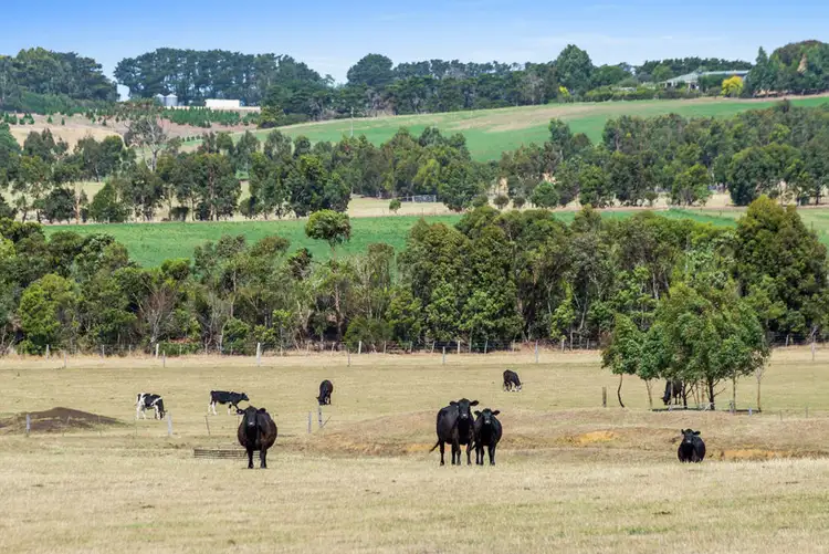 Sixth view of Homely land listing, 45 Collins Road, Irrewarra VIC 3249