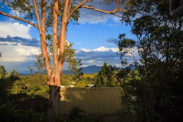 56 Lyon Street, Bellingen NSW 2454