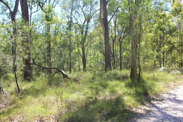 Seventh view of Homely rural property listing, Lot 2, 3850 Pacific Highway, Corindi Beach NSW 2456