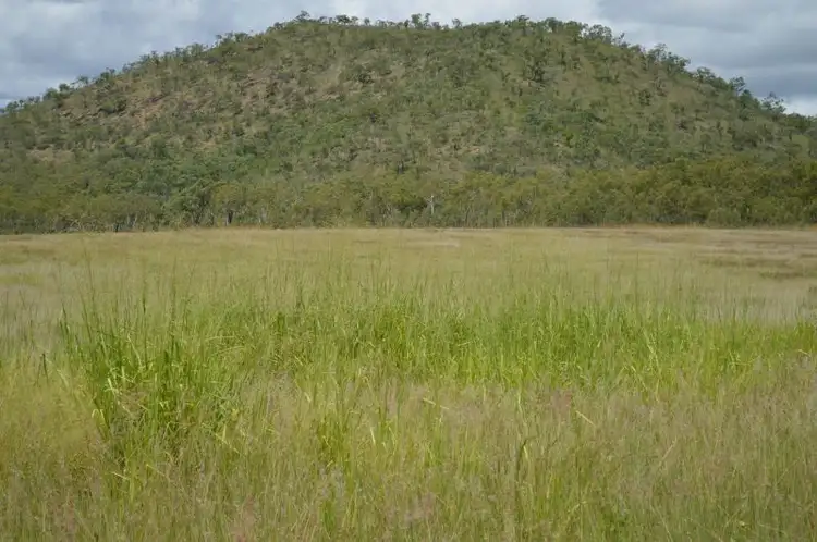 Fifth view of Homely rural property listing, 437 Veness Road, Dimbulah QLD 4872