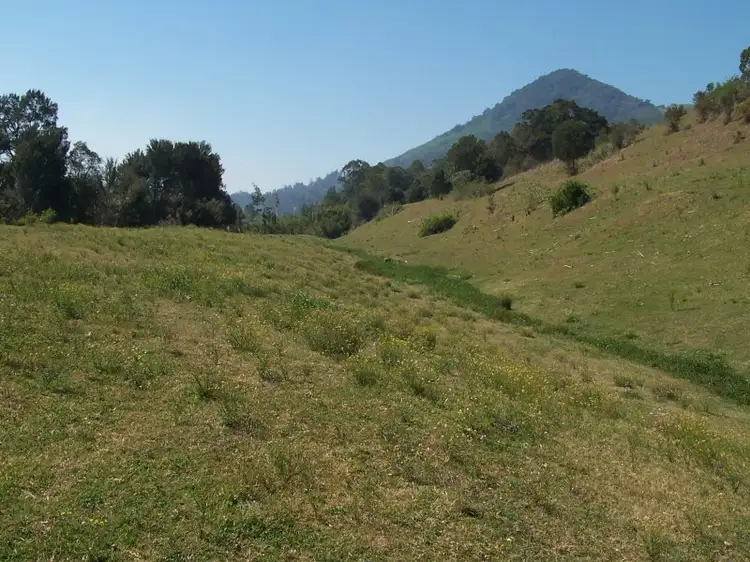 Sixth view of Homely rural property listing, 543 Somerset, Kimbriki NSW 2429