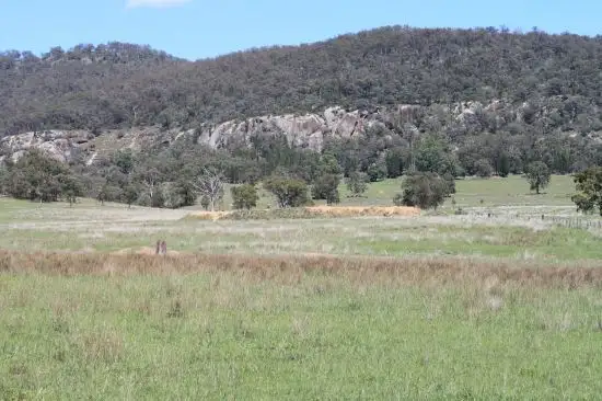Sixth view of Homely rural property listing, 1 Glenalvon Upper Dartbrook Road, Scone NSW 2337