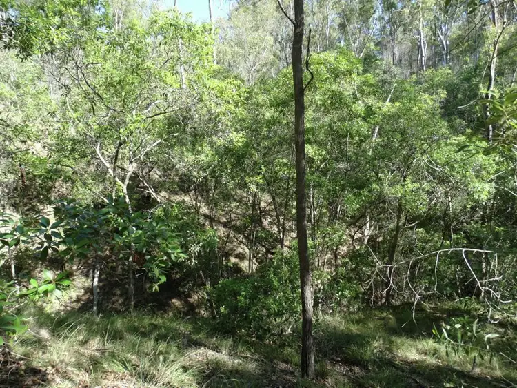 Third view of Homely rural property listing, Lot 4 Monduran Road, Monduran QLD 4671