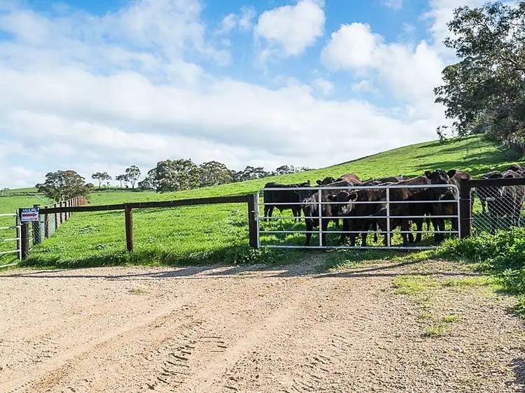 Second view of Homely land listing, L411 Daniel Road, Wistow SA 5251