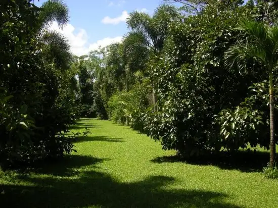 Third view of Homely rural property listing, Address available on request