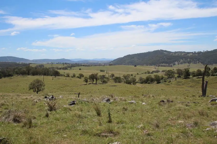 Main view of Homely rural property listing, 640 Scrub Road, Tenterfield NSW 2372