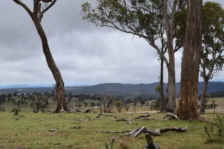 Second view of Homely rural property listing, 22-24. Blue Knobby Road, Armidale NSW 2350