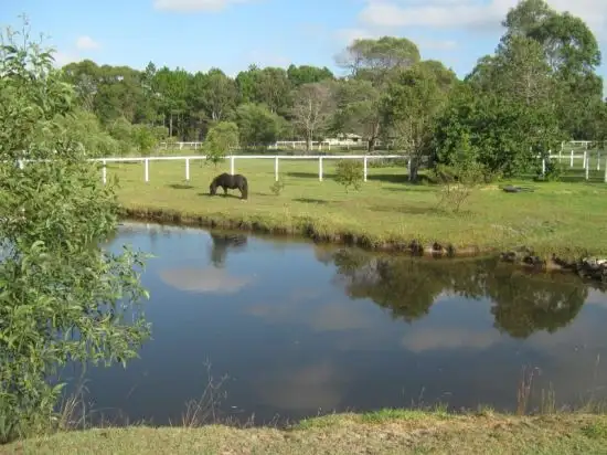 Fifth view of Homely rural property listing, 46-50 Leray Road, Elimbah QLD 4516