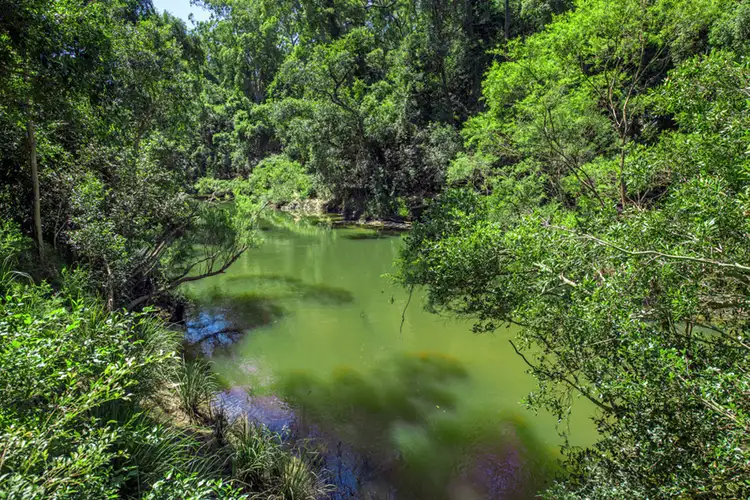 Second view of Homely rural property listing, 336 Blackbutt Road, Kremnos NSW 2460