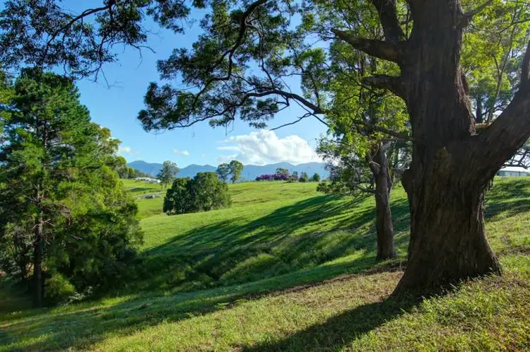 Lot 2 197 North Bank Rd, Bellingen NSW 2454