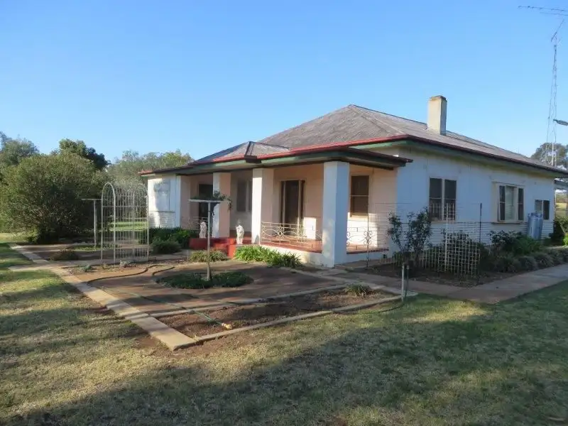 Main view of Homely house listing, 539 Buralyang North Yalgogrin Road, Tallimba NSW 2669