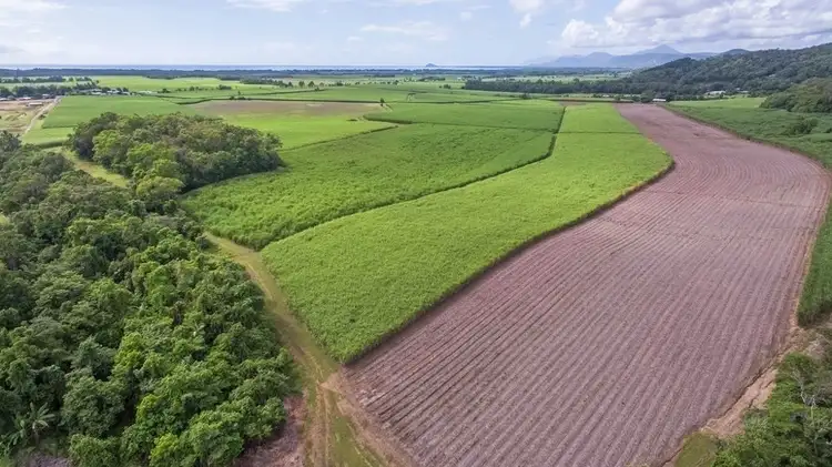 Seventh view of Homely land listing, LOT 2 Schilds Road, Miallo QLD 4873