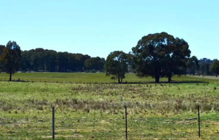 Sixth view of Homely rural property listing, 524 Westbrook  Road, Guyra NSW 2365