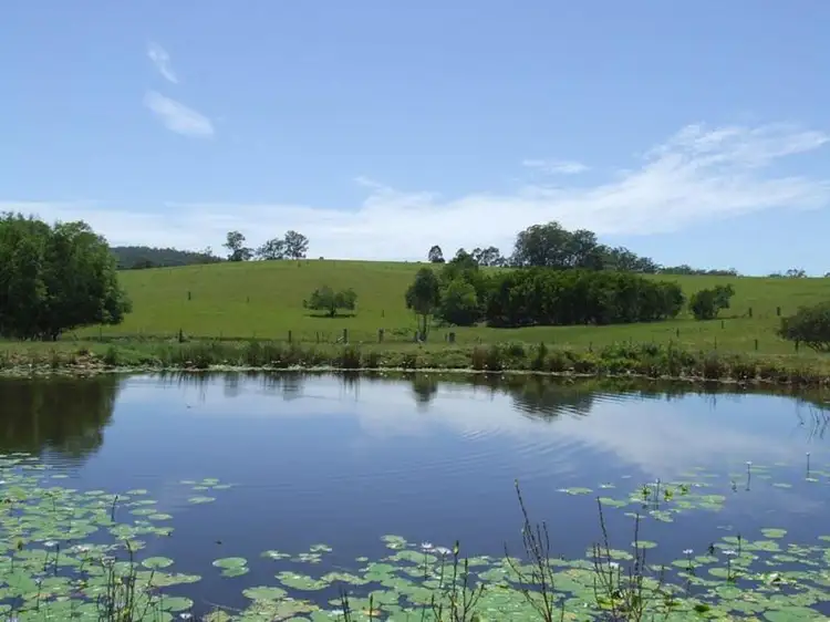 Fifth view of Homely rural property listing, 231 Upper Rollands Plains Road, Rollands Plains NSW 2441