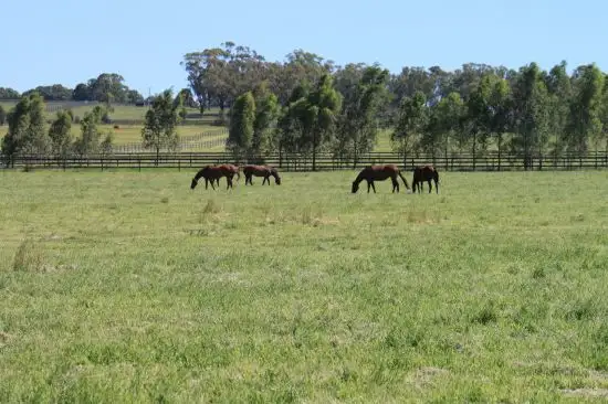 Seventh view of Homely rural property listing, Address available on request