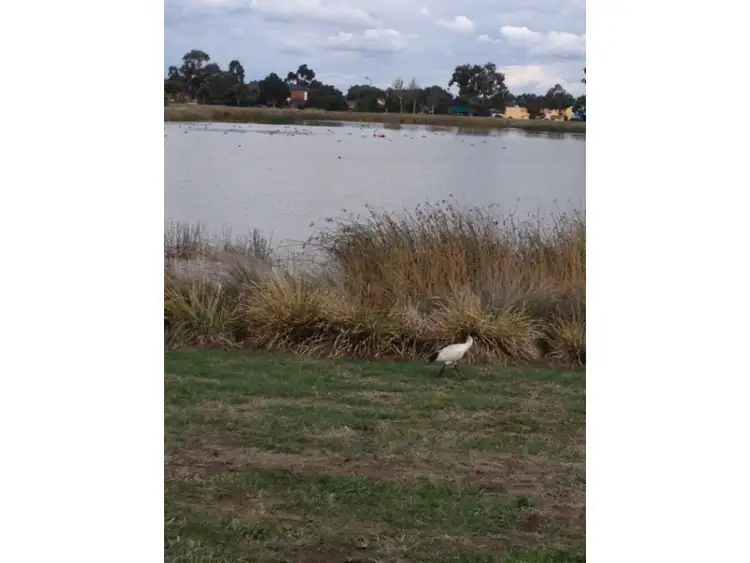 Third view of Homely unit listing, 13 Viewbank Circuit, Roxburgh Park VIC 3064