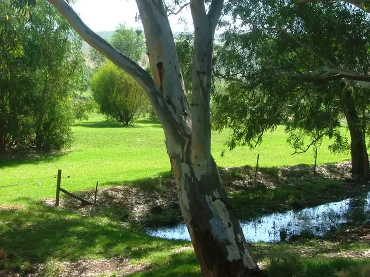 Sixth view of Homely land listing, 367 Weidenhofer, Ponde SA 5238