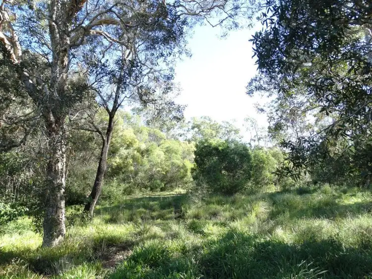 Sixth view of Homely rural property listing, Lot 97 Steeds Road, Winfield QLD 4670