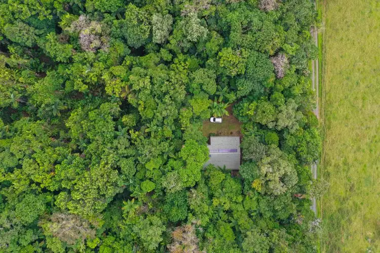 Third view of Homely rural property listing, 96 Buchanan Creek Road, Cow Bay QLD 4873