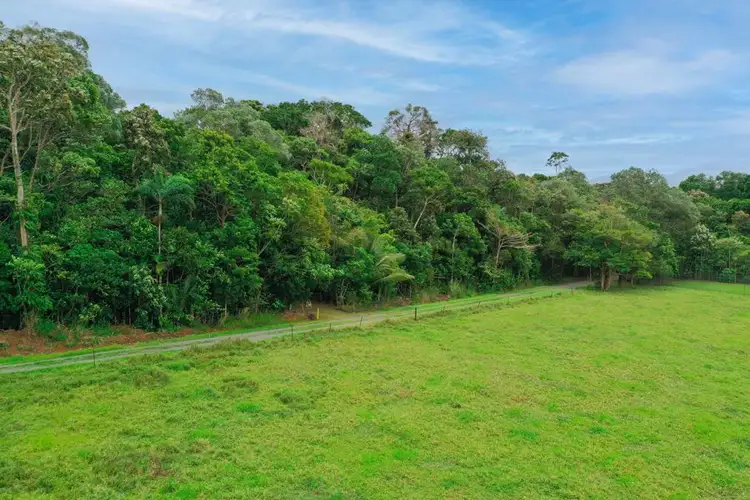 Fourth view of Homely rural property listing, 96 Buchanan Creek Road, Cow Bay QLD 4873