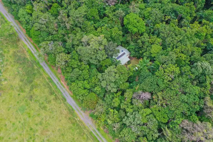 Fifth view of Homely rural property listing, 96 Buchanan Creek Road, Cow Bay QLD 4873