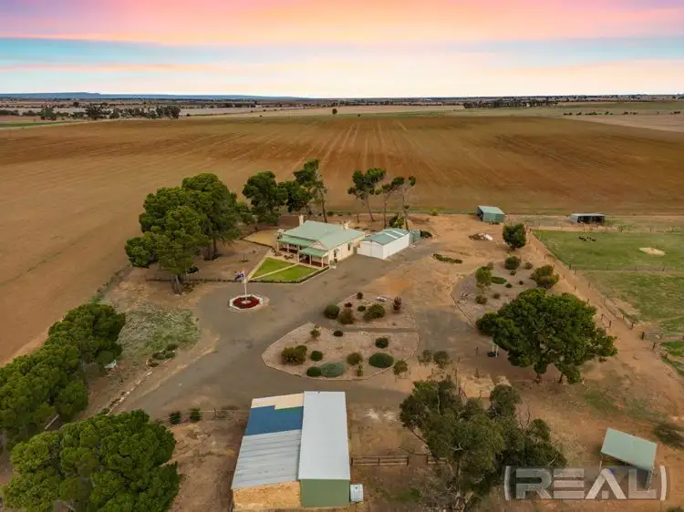 Second view of Homely house listing, 145 Ronan Road, Hamley Bridge SA 5401