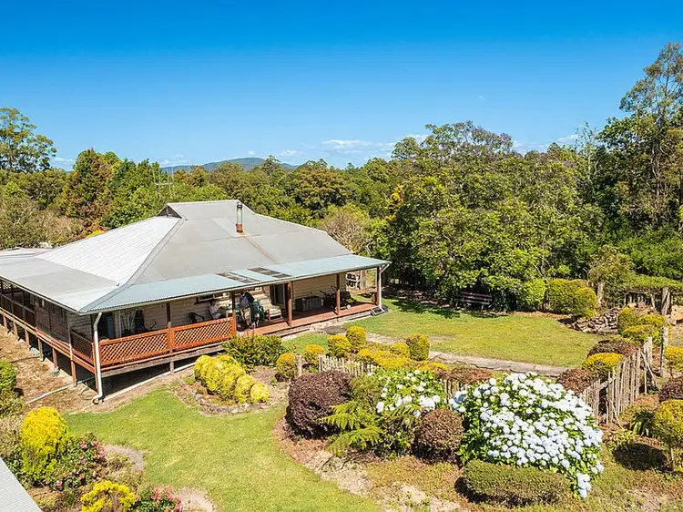 Main view of Homely rural property listing, 196 Tilbaroo Rd, Elands NSW 2429