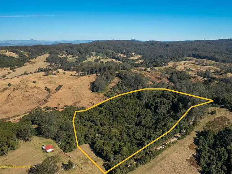 Second view of Homely land listing, 127 Beech Road, Elands NSW 2429