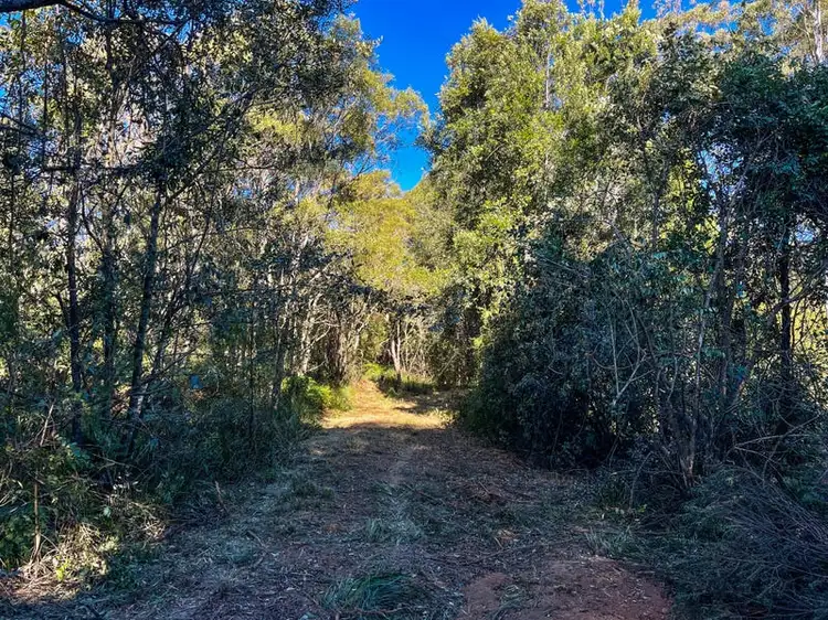 Third view of Homely land listing, 127 Beech Road, Elands NSW 2429