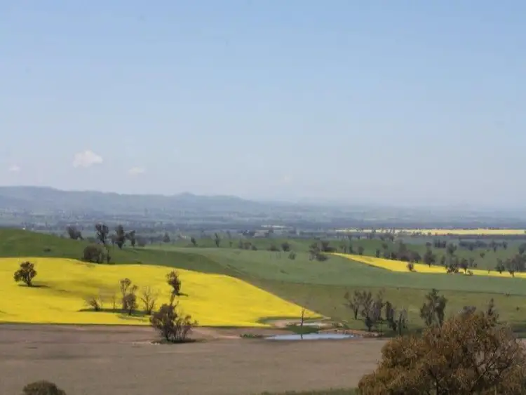 Fourth view of Homely house listing, 544 Wantiool Road, Junee NSW 2663