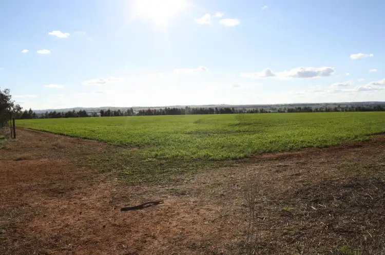 Main view of Homely land listing, Lot 7 Roedigers Lane, Junee NSW 2663