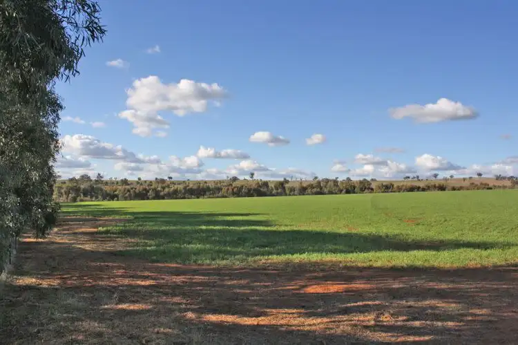 Second view of Homely land listing, Lot 7 Roedigers Lane, Junee NSW 2663