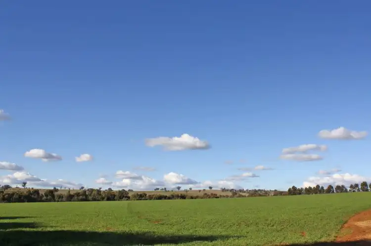 Third view of Homely land listing, Lot 7 Roedigers Lane, Junee NSW 2663