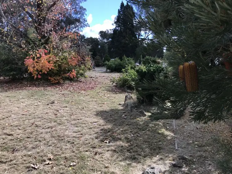 Fourth view of Homely house listing, 9328 Newell Highway, Coonabarabran NSW 2357