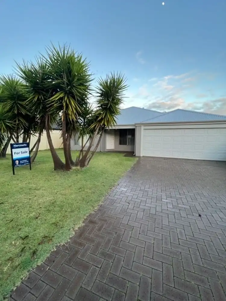 8 Salvia Link, Glen Iris WA 6230