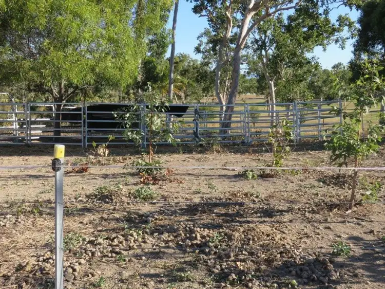 Sixth view of Homely land listing, LOT 5 MIDGE POINT ROAD, Midge Point QLD 4799