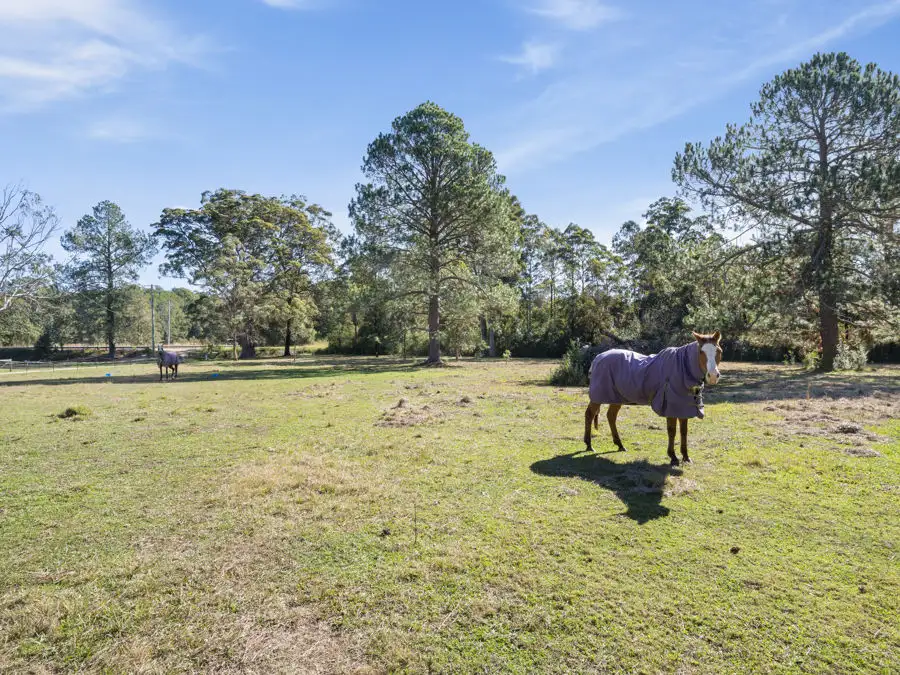 Main view of Homely house listing, 2134 Orara Way, Glenreagh NSW 2450