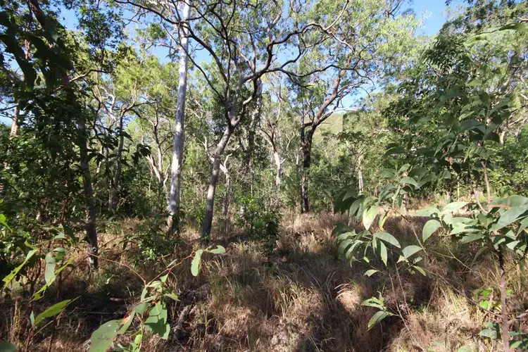 Sixth view of Homely land listing, Lot 3 Pine Creek Road, East Trinity QLD 4871