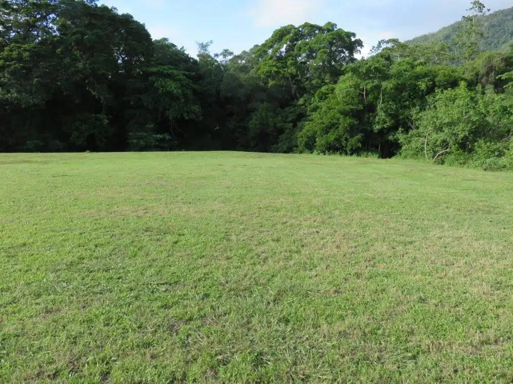 Main view of Homely land listing, 4 Latania Close, Palm Cove QLD 4879