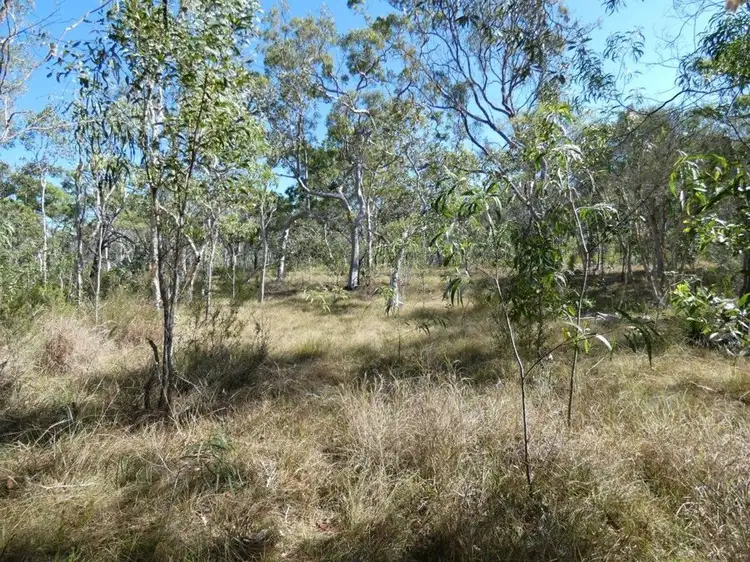 Main view of Homely rural property listing, Lot 11 Fernfield Road, Deepwater QLD 4674