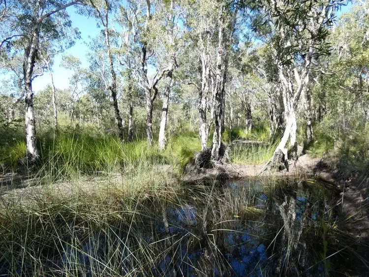 Fourth view of Homely rural property listing, Lot 11 Fernfield Road, Deepwater QLD 4674