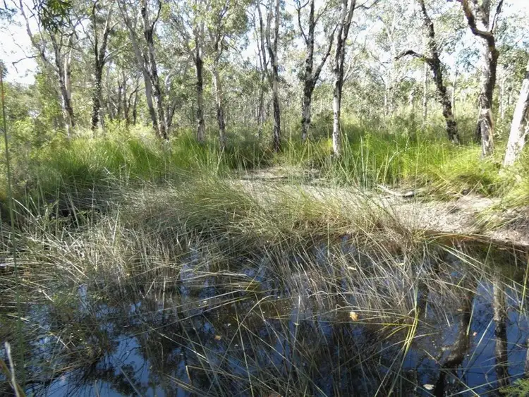 Fifth view of Homely rural property listing, Lot 11 Fernfield Road, Deepwater QLD 4674