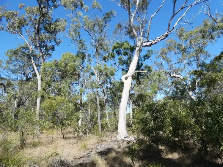 Sixth view of Homely rural property listing, Lot 11 Fernfield Road, Deepwater QLD 4674