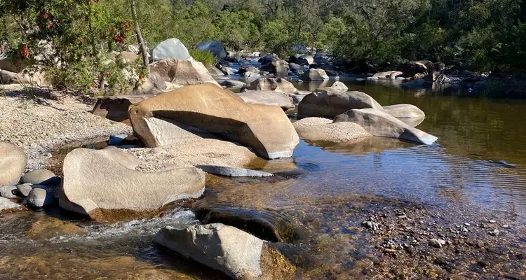 73 Fairfield Road, Drake NSW 2469