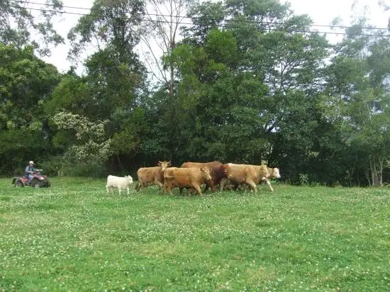 Third view of Homely rural property listing, Address available on request