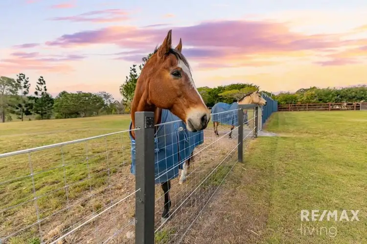 Third view of Homely rural property listing, 22 Shapland Drive, Royston QLD 4515