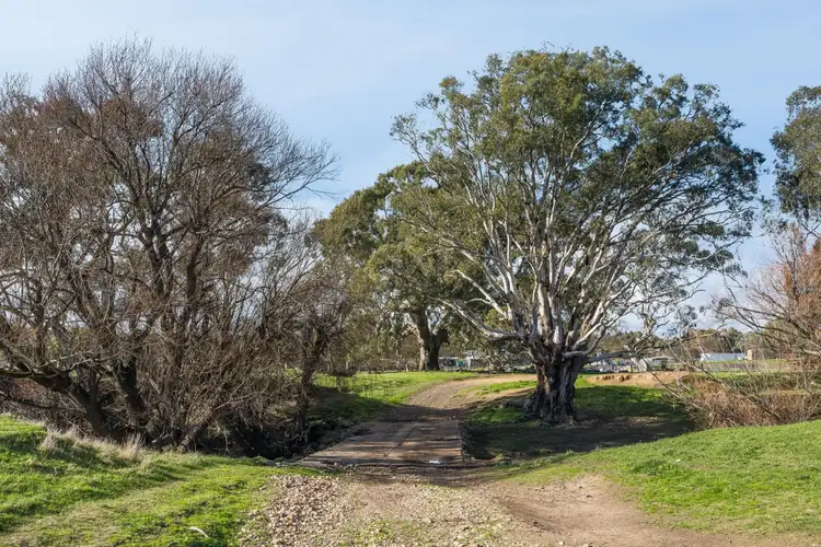 Third view of Homely rural property listing, 1000A Strathlea Road, Campbelltown VIC 3364